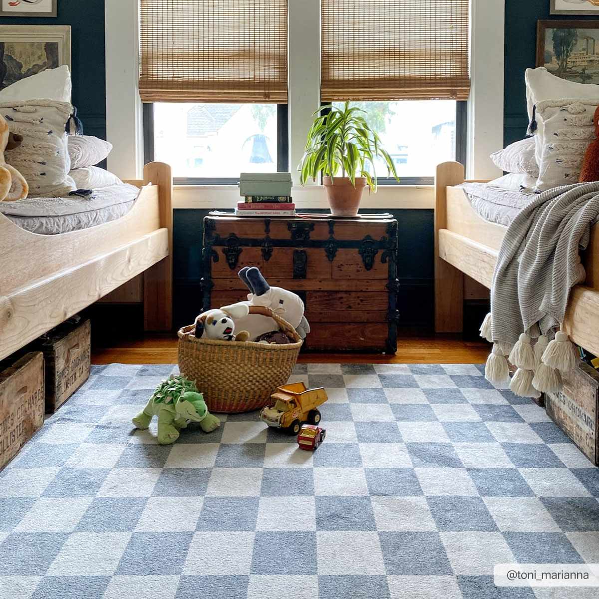 Alie Gray Checkered Washable Area Rug by Hauteloom