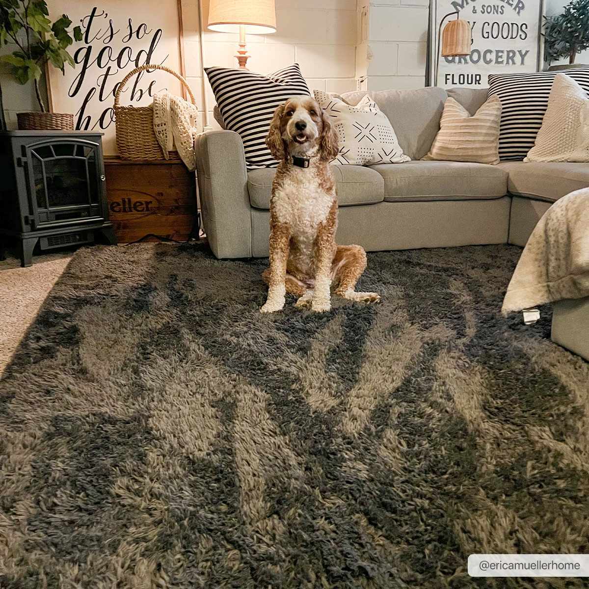 Black Allon Area Rug - Clearance by Boutique Rugs