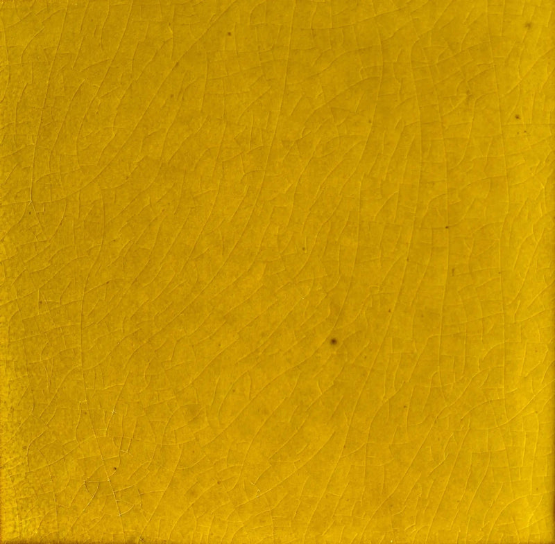 Amarillo Brillante by Place Of Clay