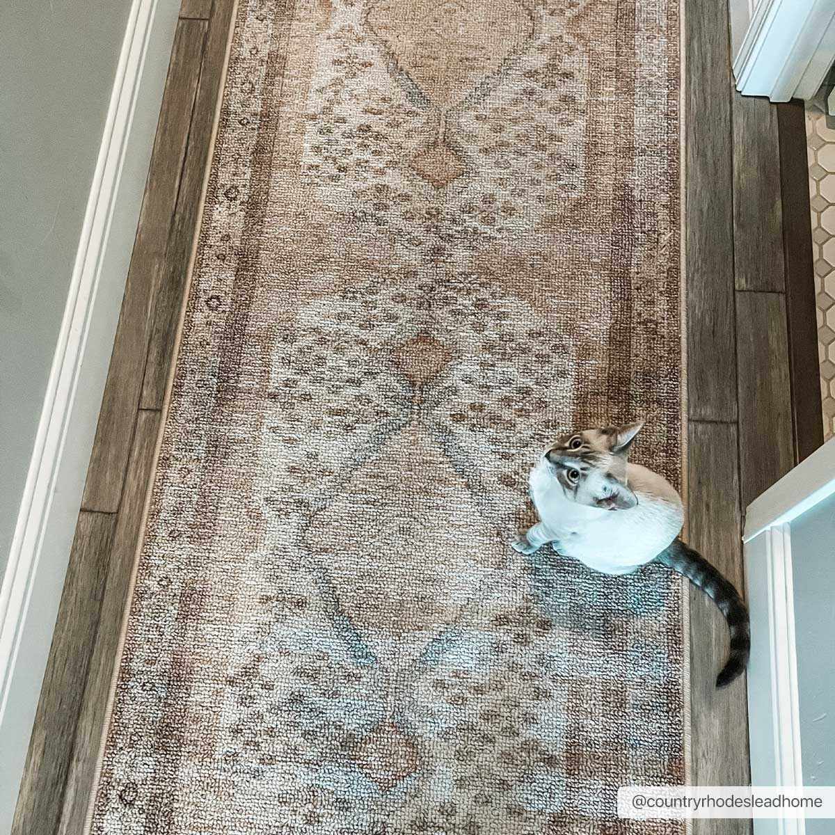 Analu Peach Washable Area Rug by Hauteloom