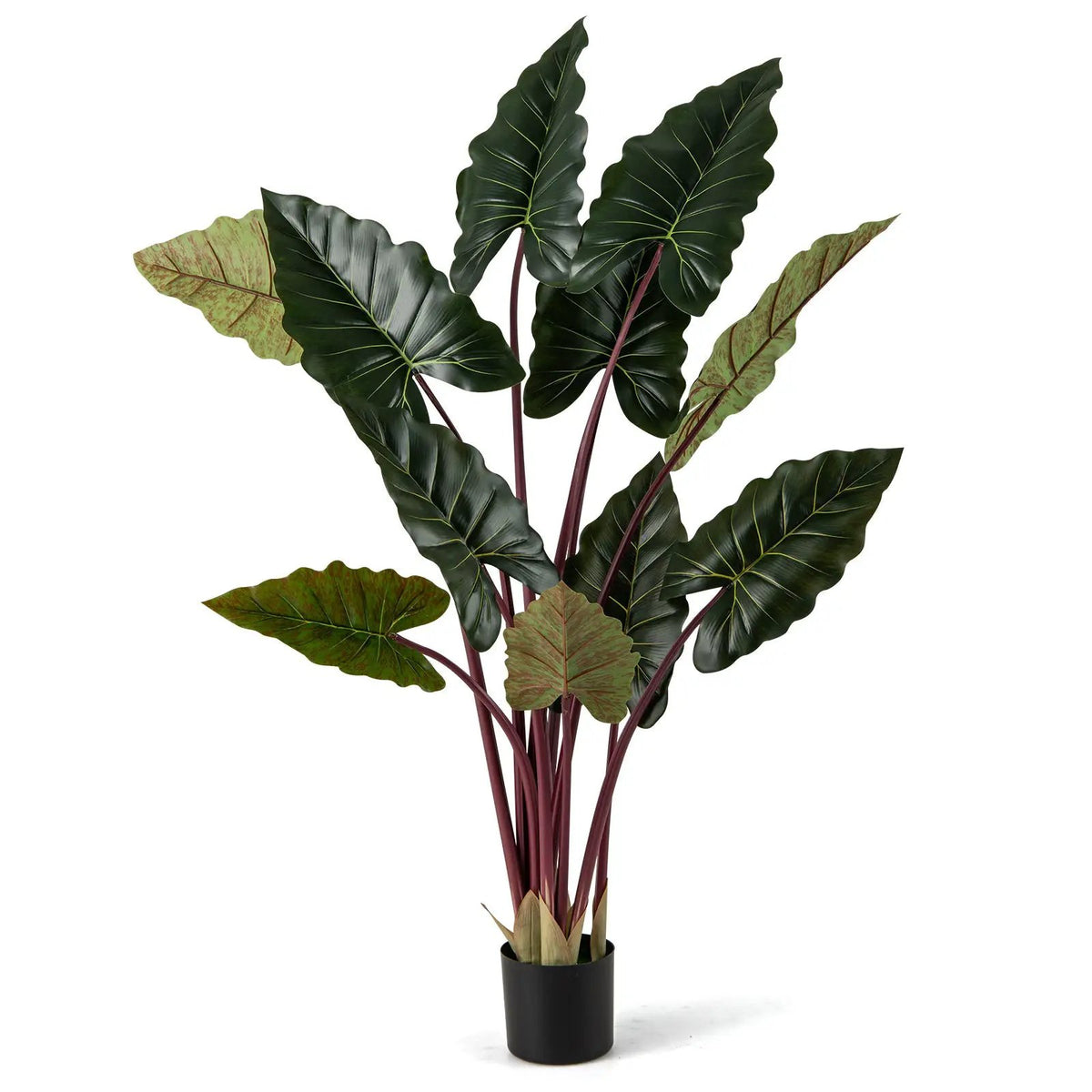 Artificial Rainbow Taro Tree 63" Tall with 11 Faux Leaves, photo 4 of 16