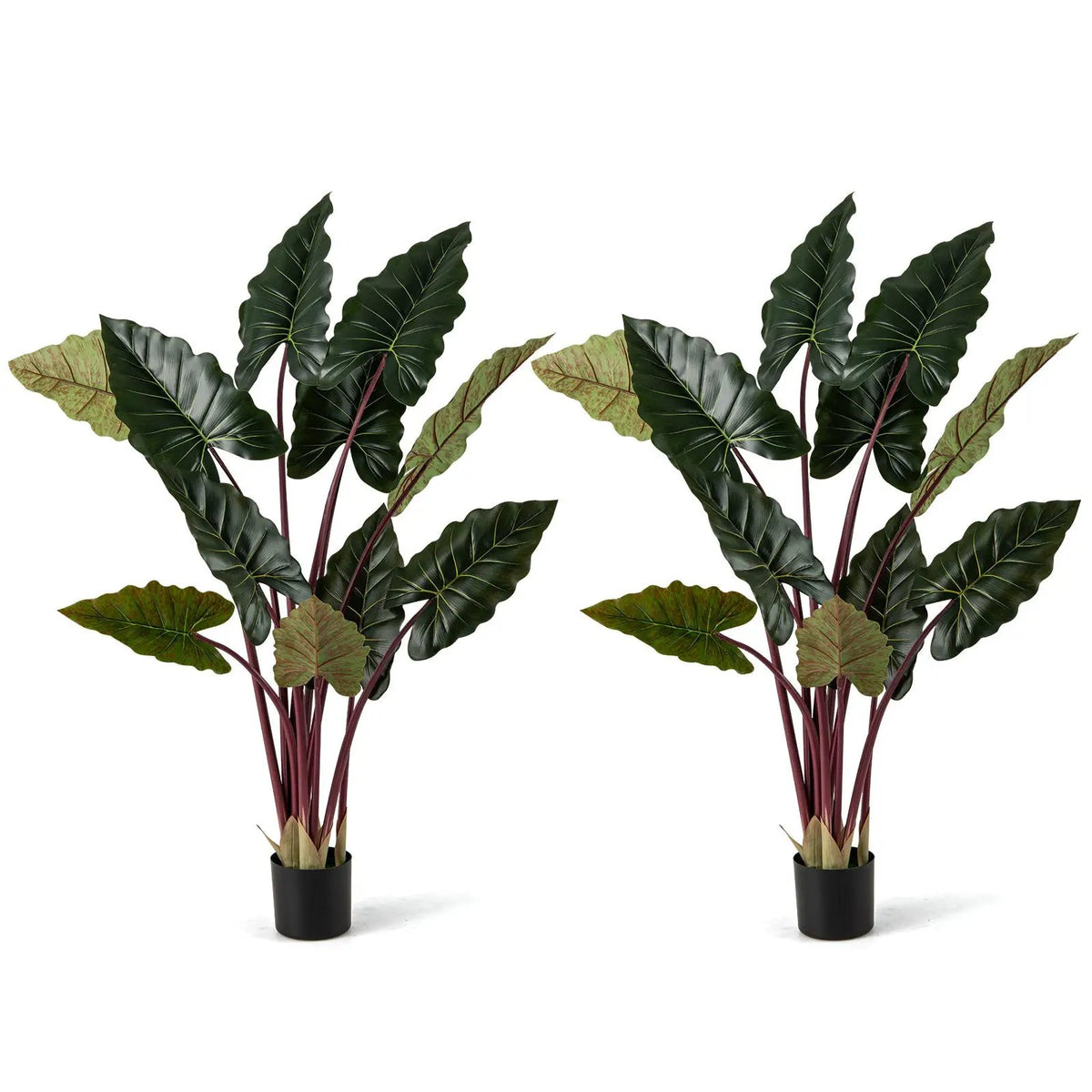 Artificial Rainbow Taro Tree 63" Tall with 11 Faux Leaves, photo 3 of 16