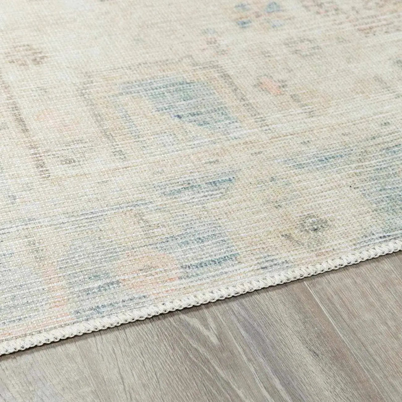 Baloy Vintage Washable Rug by Boutique Rugs