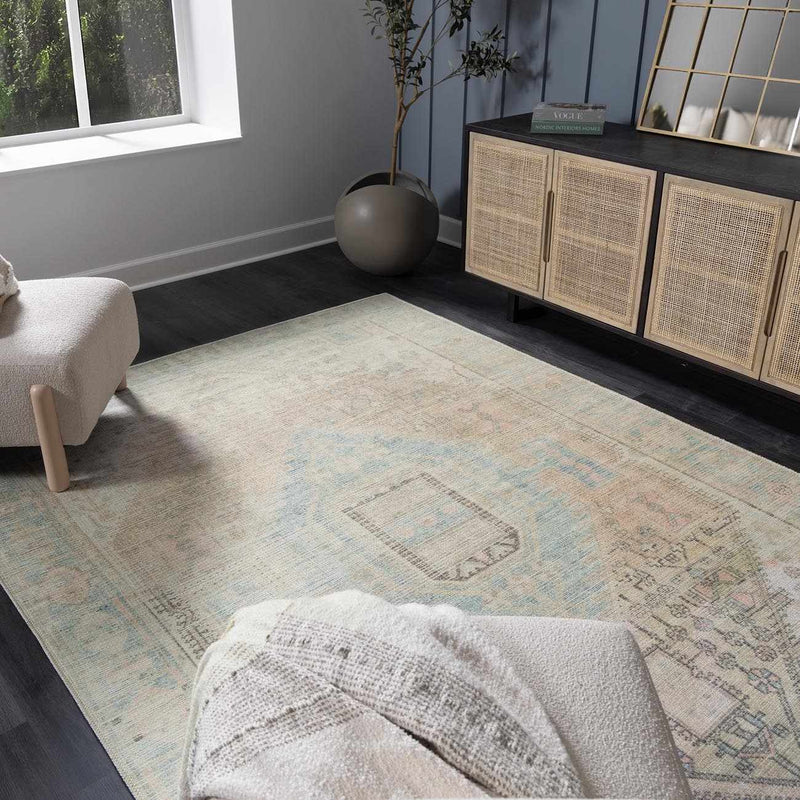 Baloy Vintage Washable Rug by Boutique Rugs