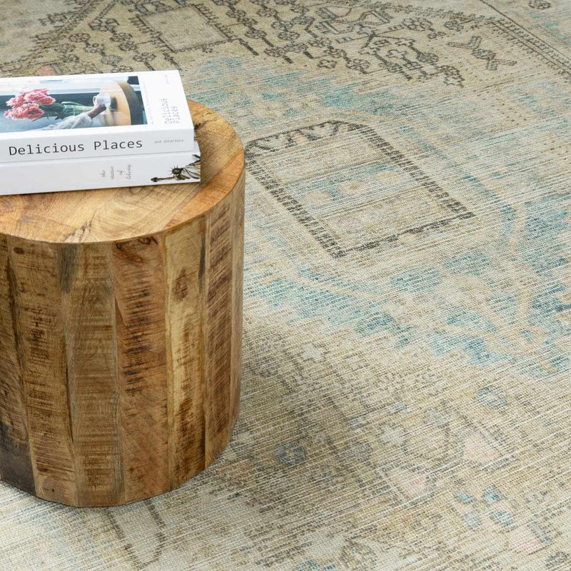 Baloy Vintage Washable Rug by Boutique Rugs