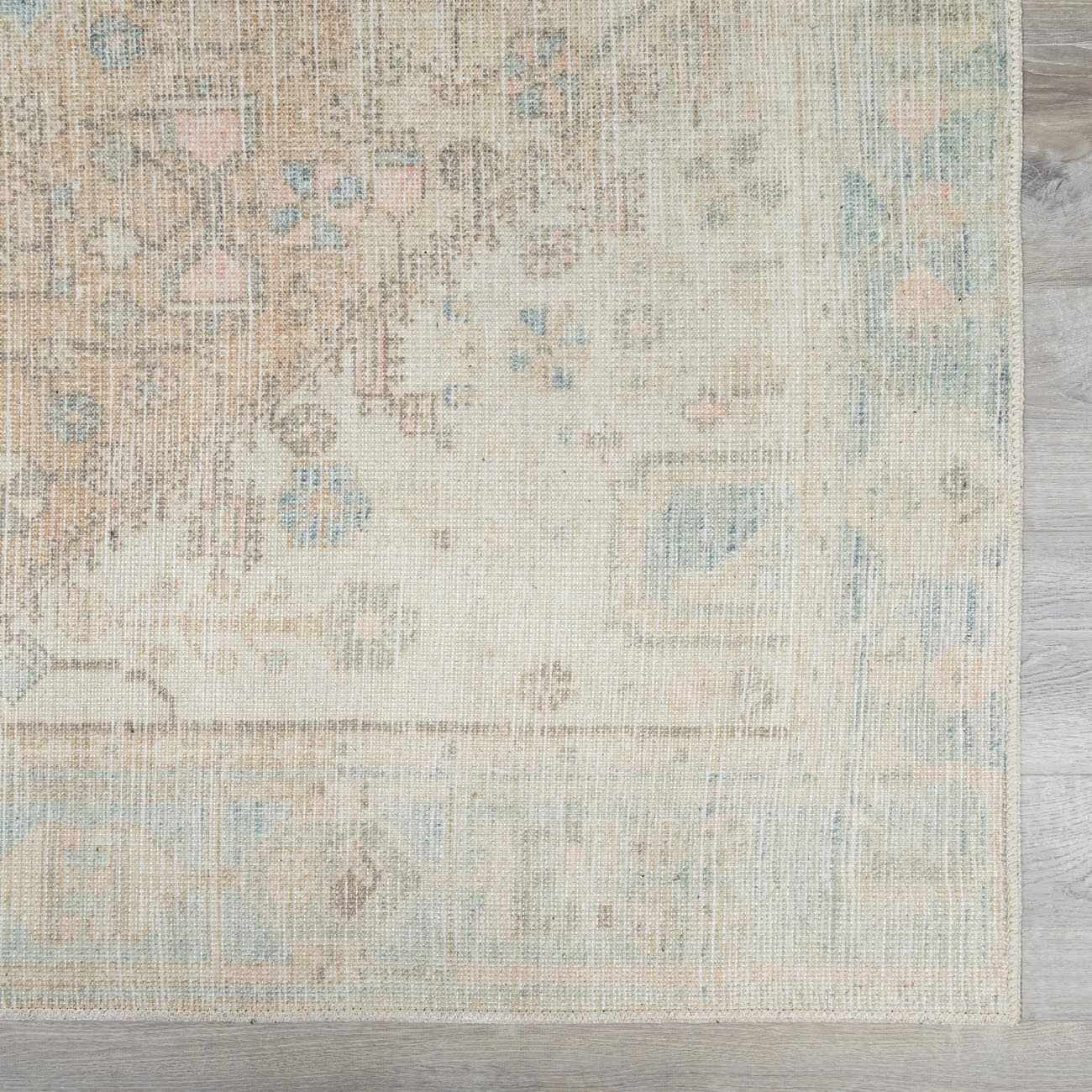 Baloy Vintage Washable Rug by Boutique Rugs