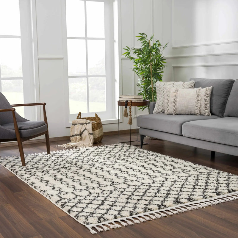 Muni Berber Shag Rug - Clearance by Boutique Rugs