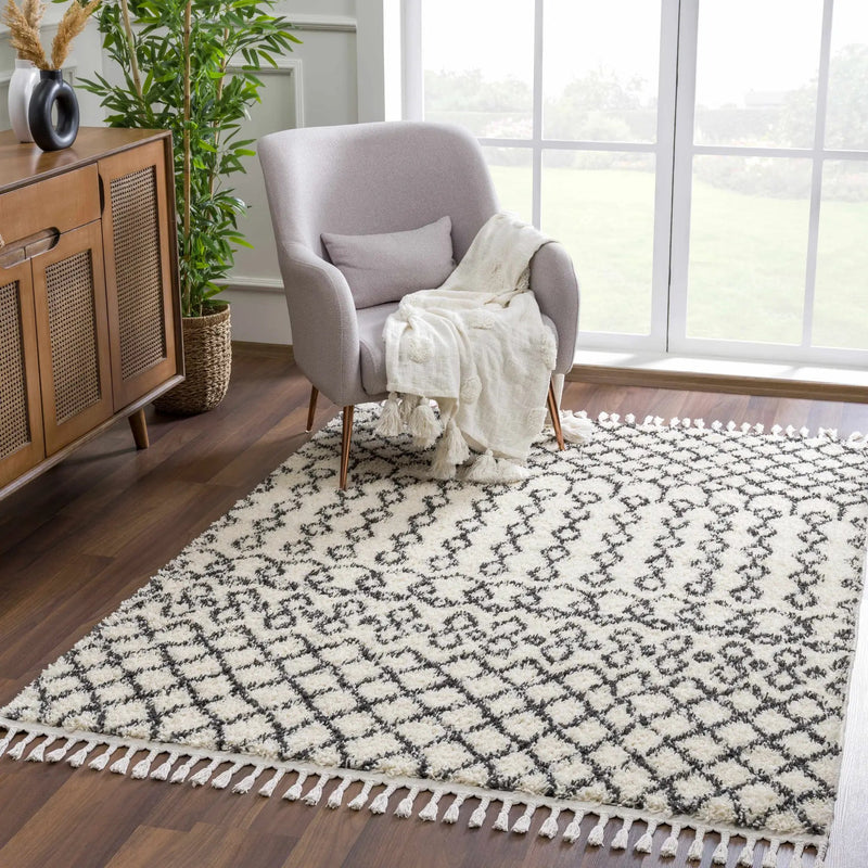 Muni Berber Shag Rug - Clearance by Boutique Rugs