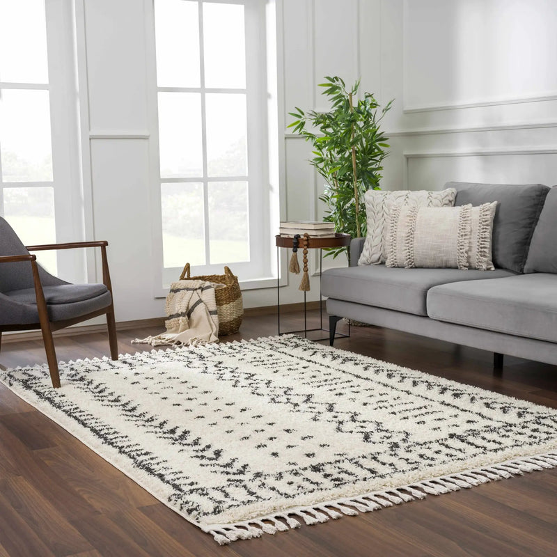Hauppauge Berber Shag Carpet - Clearance by Boutique Rugs