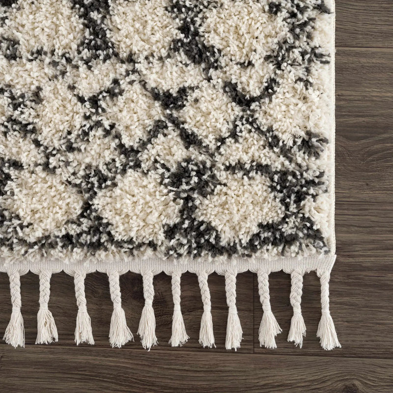 Buan Plush Area Rug by Hauteloom