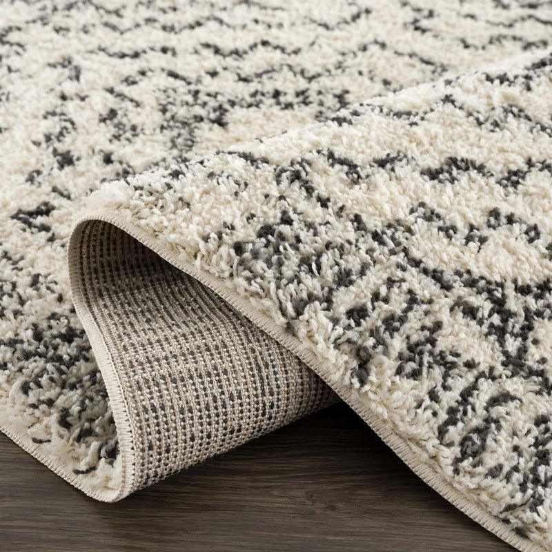 Buan Plush Area Rug by Hauteloom