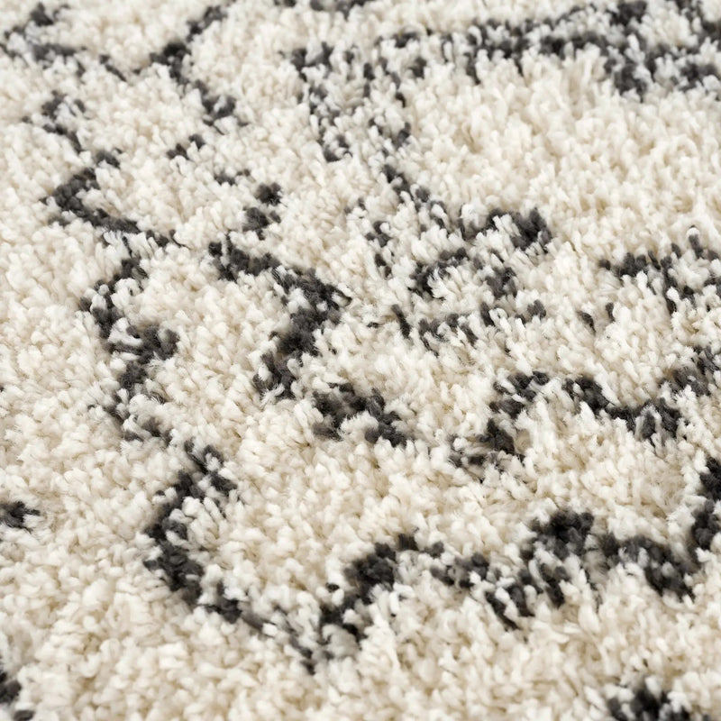 Buan Plush Area Rug by Hauteloom