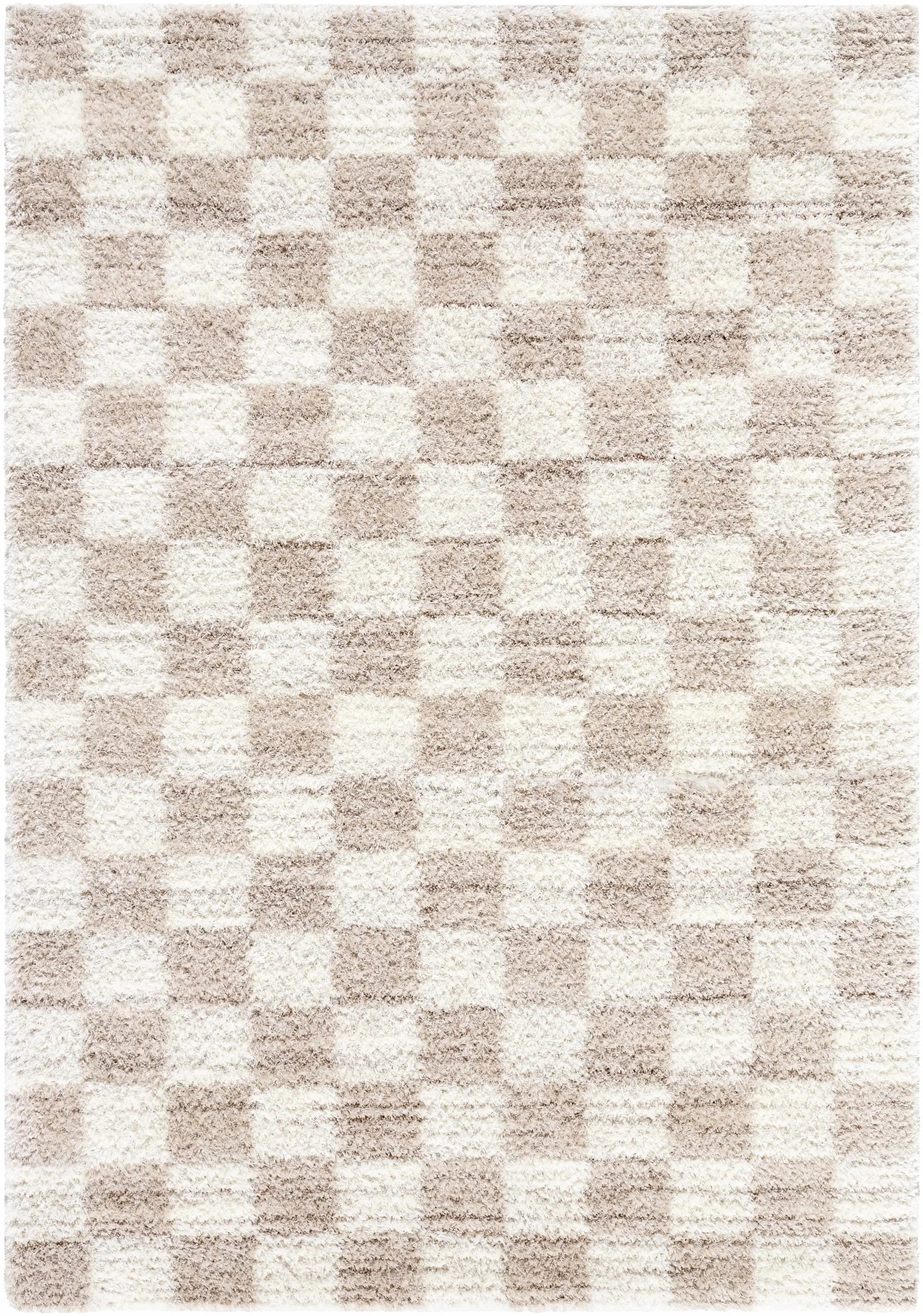 Belita Beige Luxe Shag Area Rug by Boutique Rugs