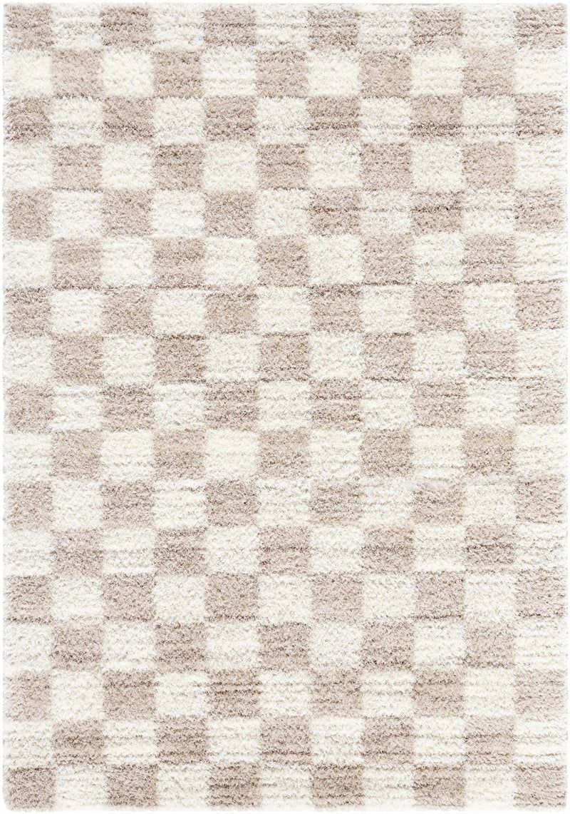 Belita Beige Luxe Shag Area Rug by Boutique Rugs