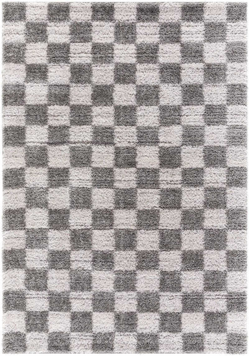 Belita Charcoal Luxe Shag Area Rug by Boutique Rugs
