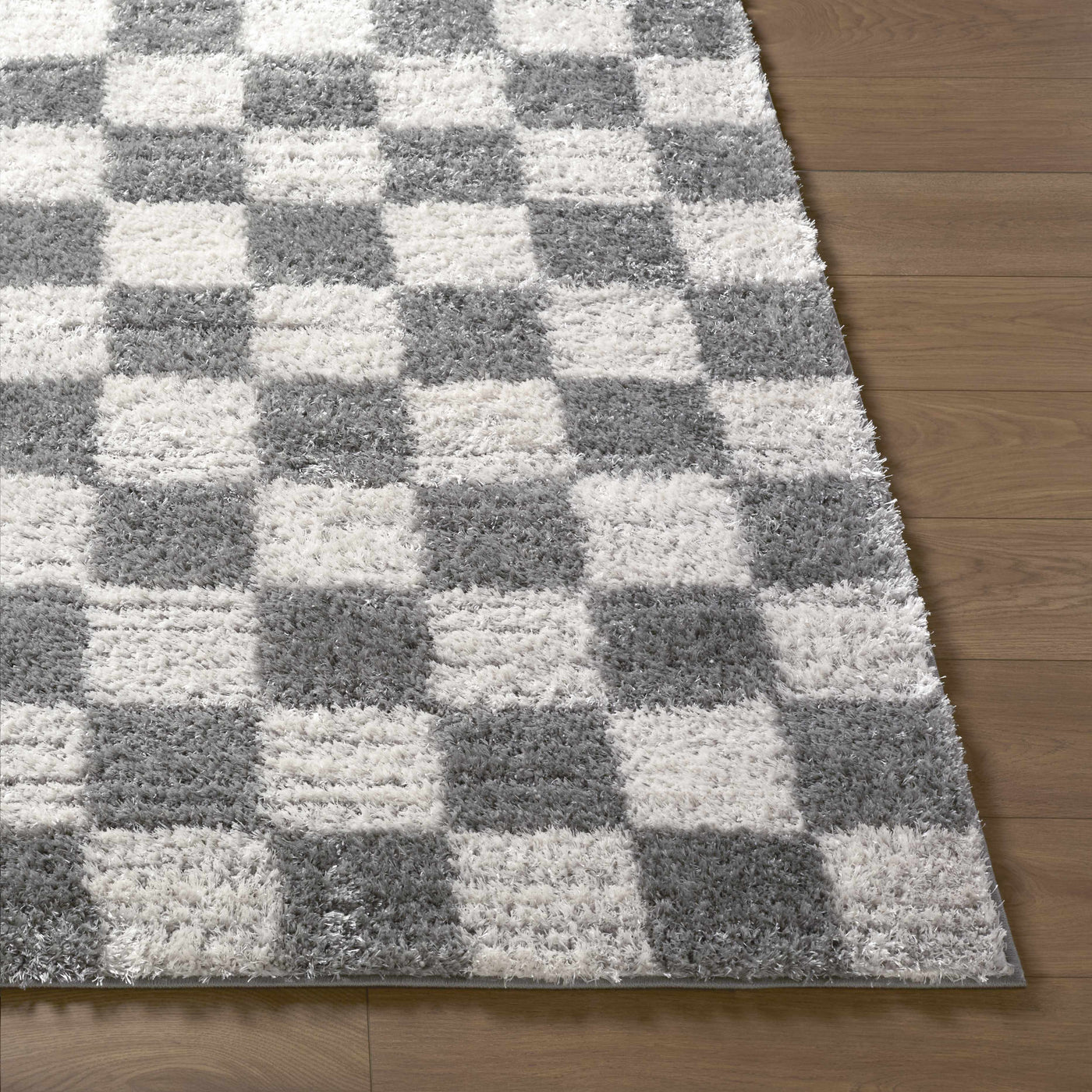 Belita Charcoal Luxe Shag Area Rug by Boutique Rugs