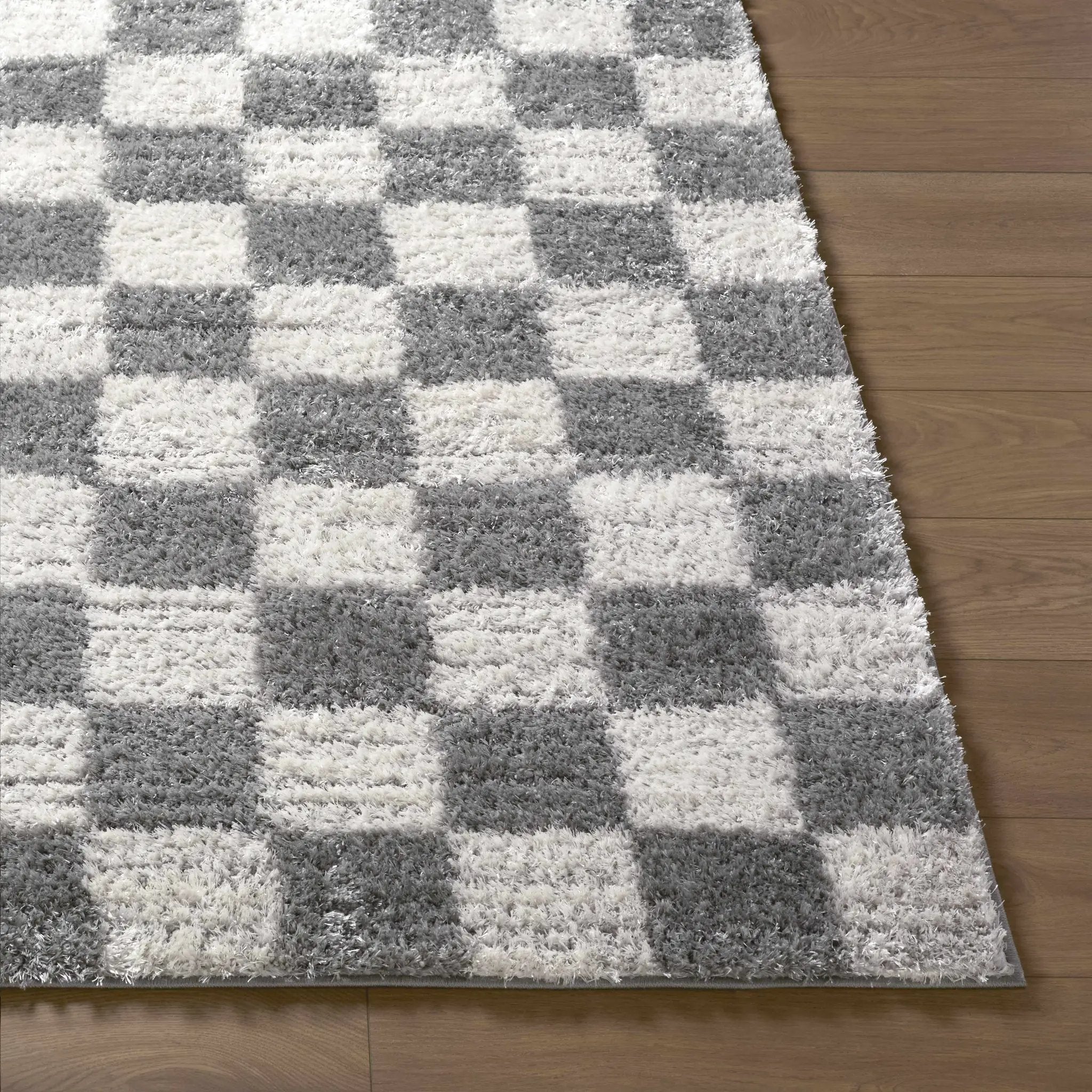 Belita Charcoal Luxe Shag Area Rug by Boutique Rugs