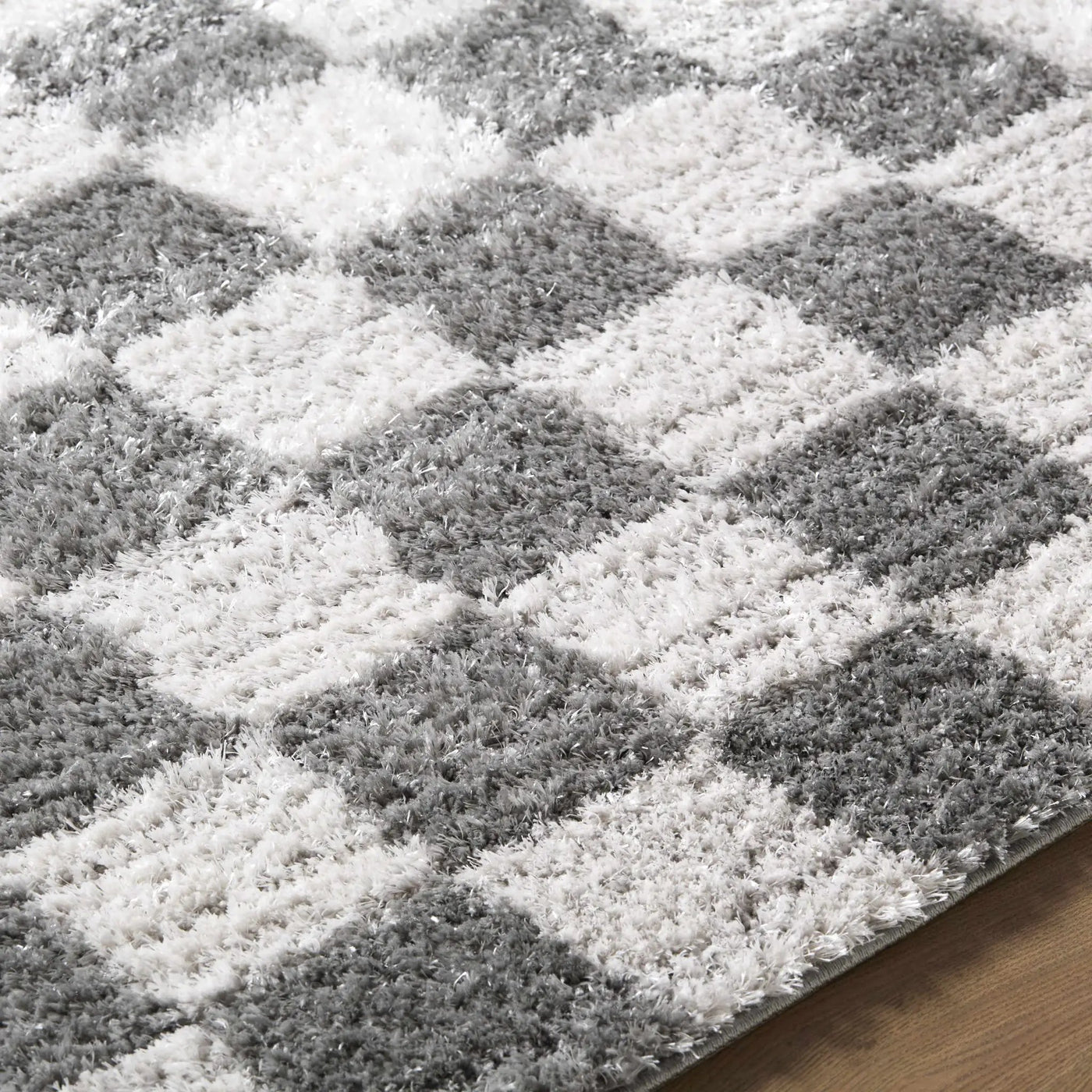 Belita Charcoal Luxe Shag Area Rug by Boutique Rugs