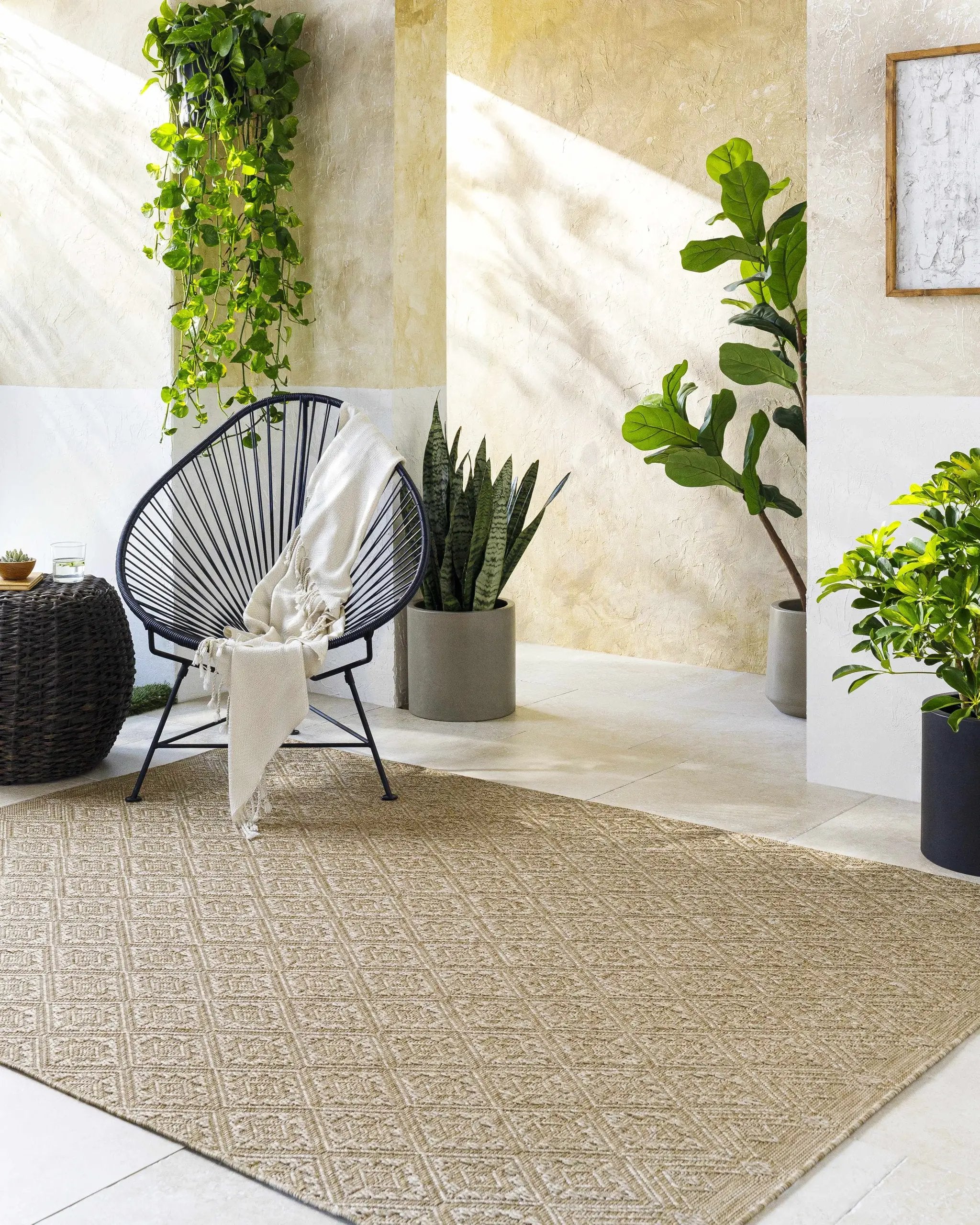 Bandit Brown Outdoor Area Rug by Boutique Rugs