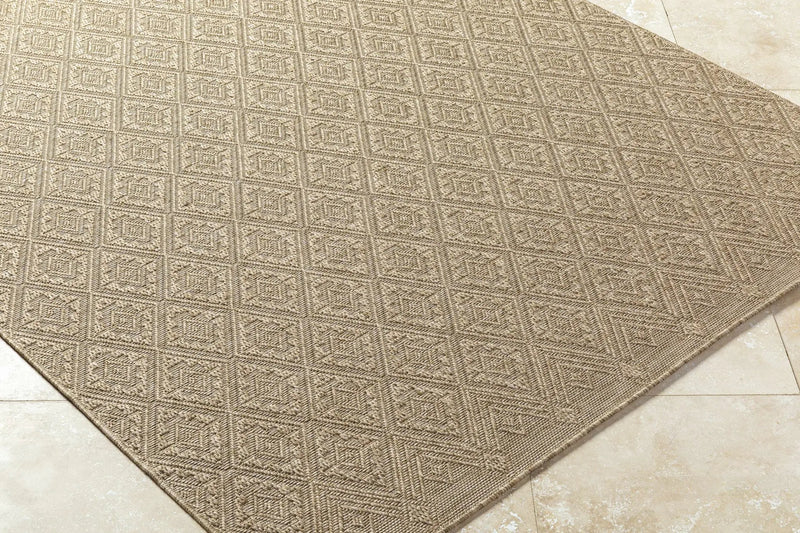 Bandit Brown Outdoor Area Rug by Boutique Rugs