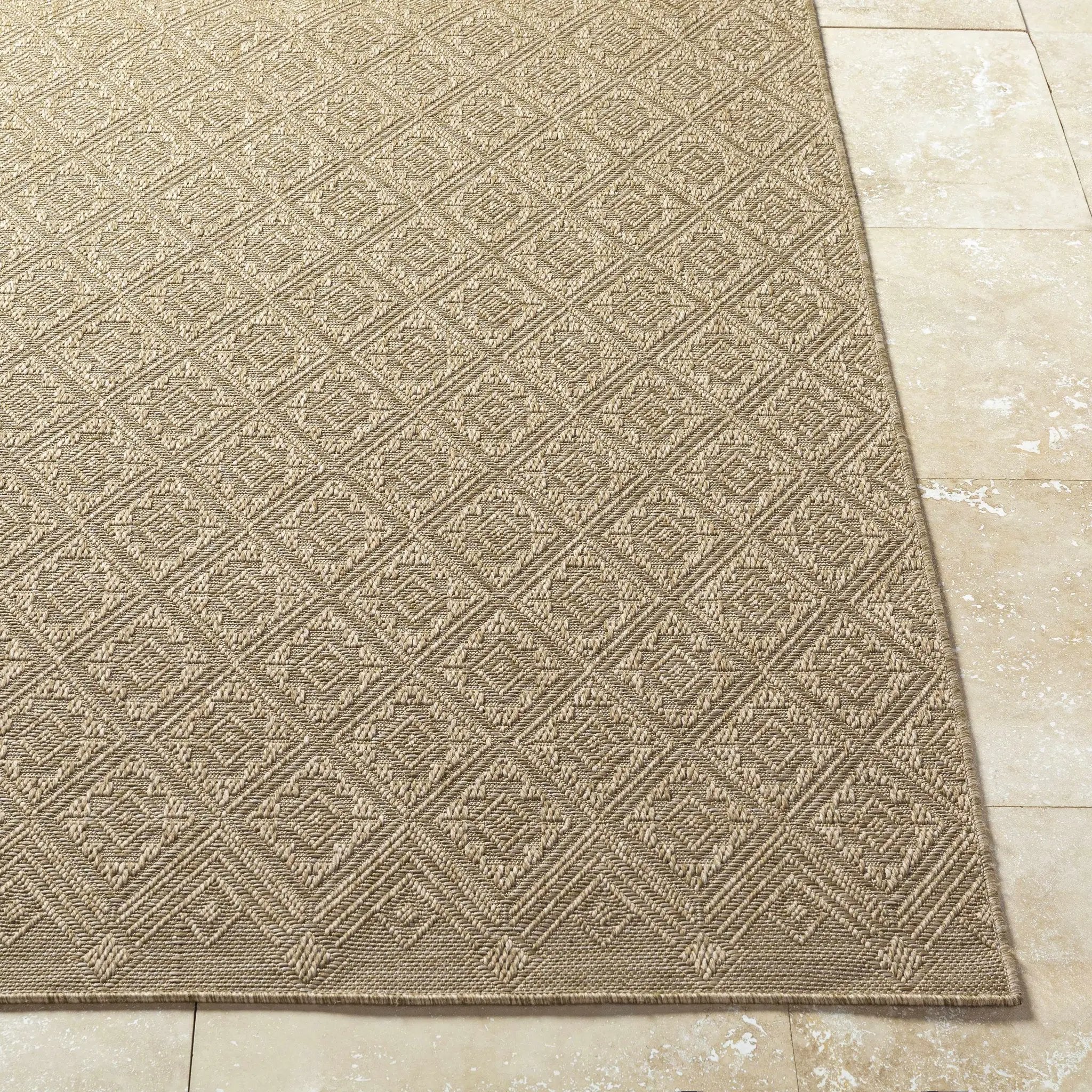 Bandit Brown Outdoor Area Rug by Boutique Rugs