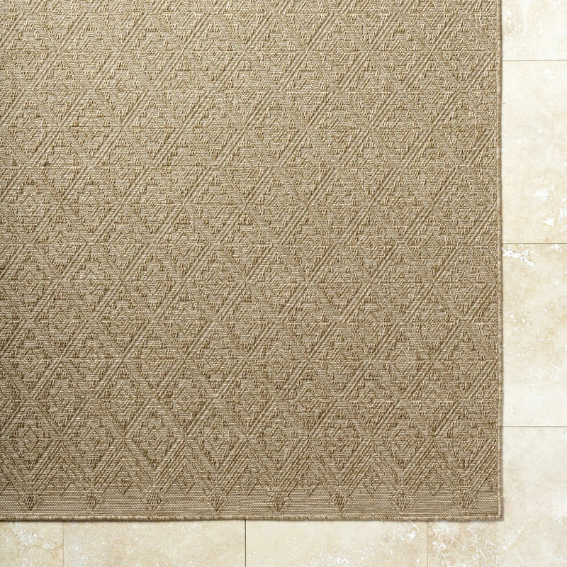 Bandit Brown Outdoor Area Rug by Boutique Rugs