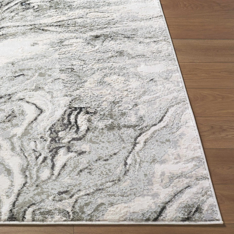 Brandi Gray Marble Area Rug by Boutique Rugs