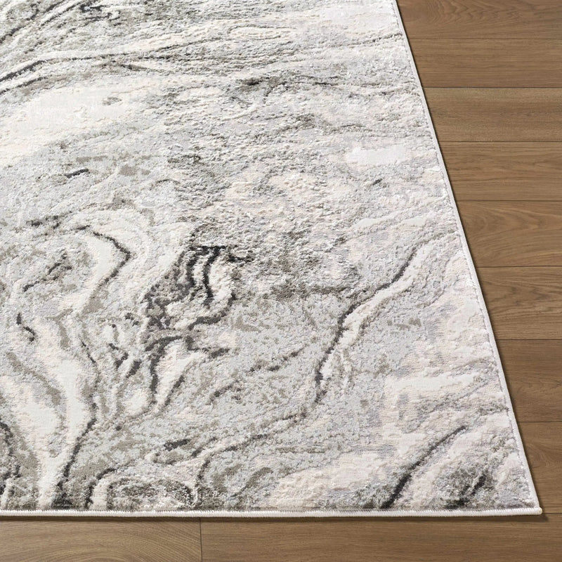 Brandi Gray Marble Area Rug by Boutique Rugs