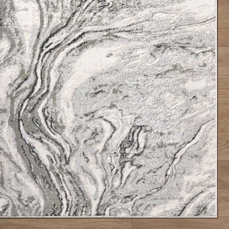 Brandi Gray Marble Area Rug by Boutique Rugs