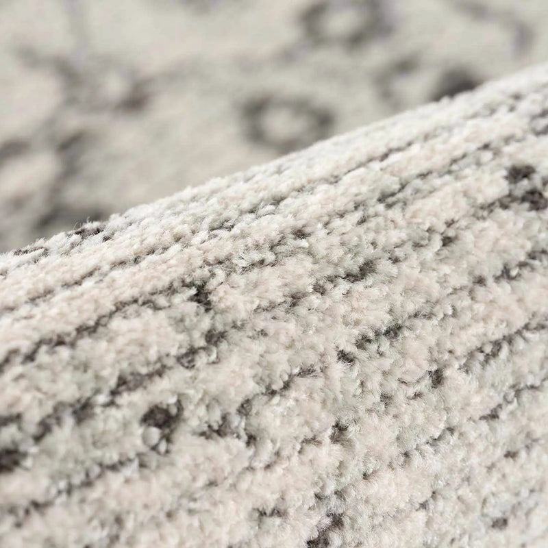 Paicines Area Rug by Boutique Rugs