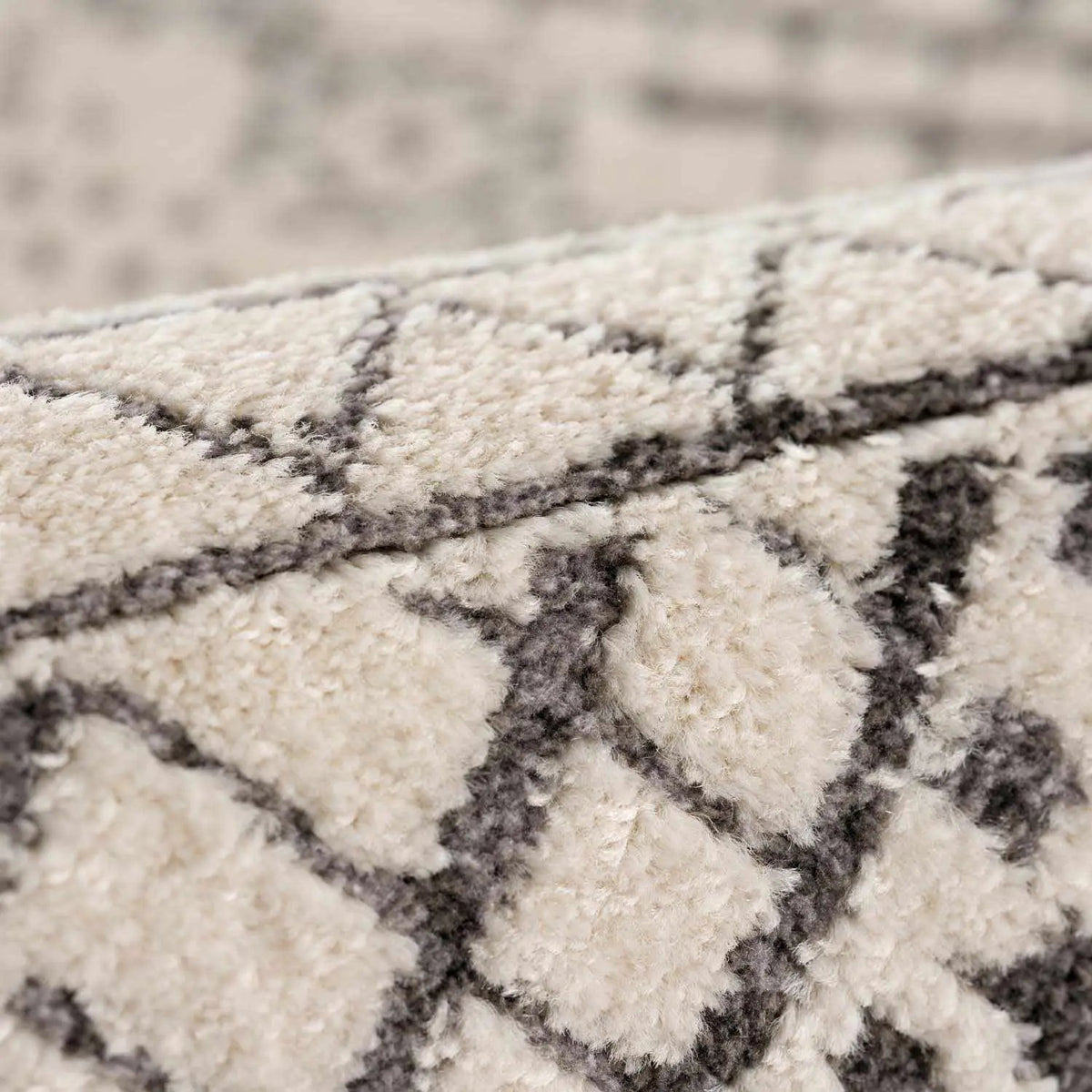 Merriott Area Rug, photo 10 of 13