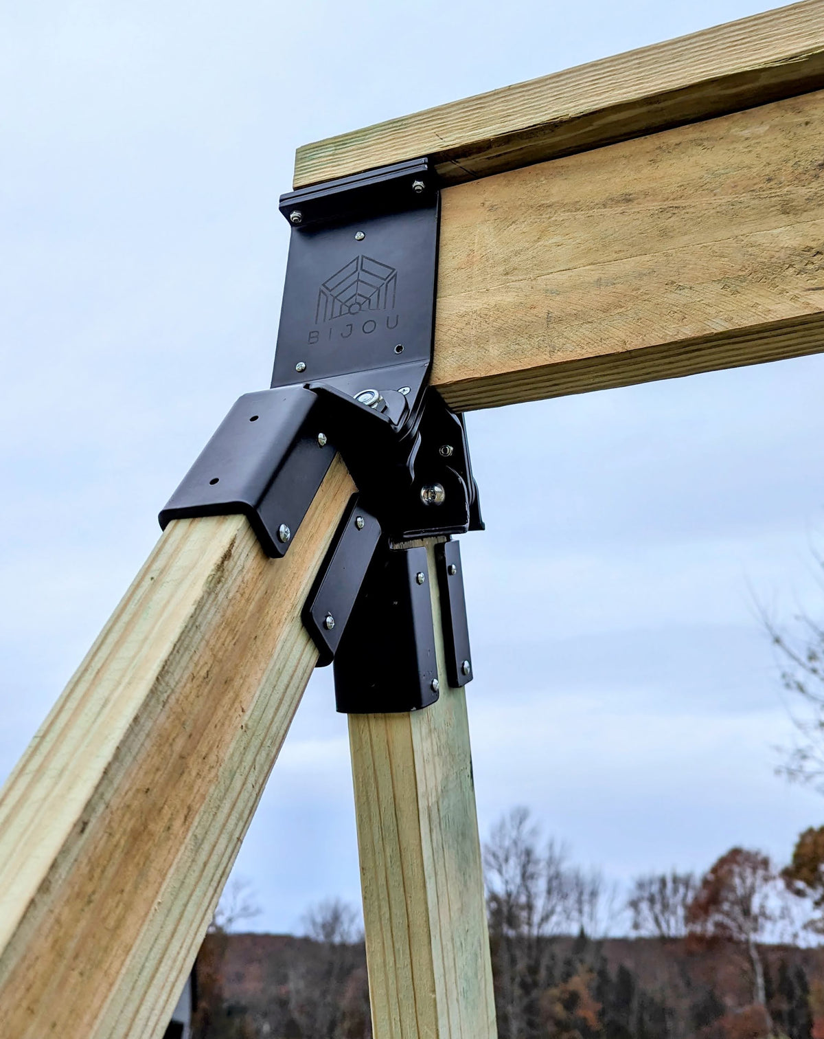 Swing Arm, detail