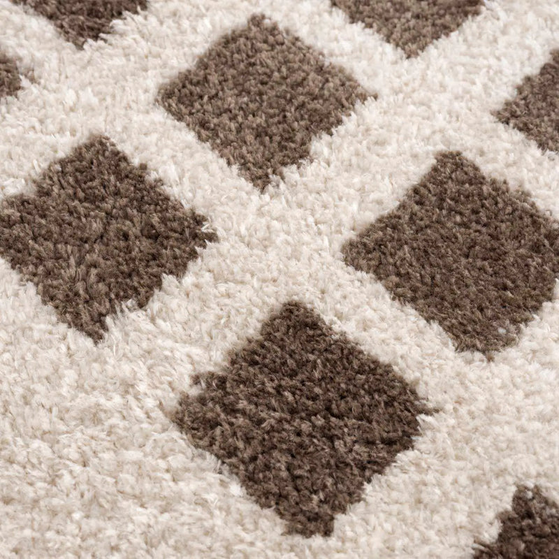 Baback Brown Washable Area Rug by Boutique Rugs