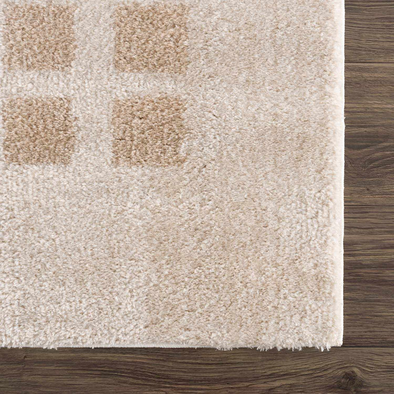 Baback Beige Washable Area Rug by Boutique Rugs