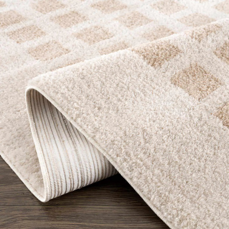 Baback Beige Washable Area Rug by Boutique Rugs