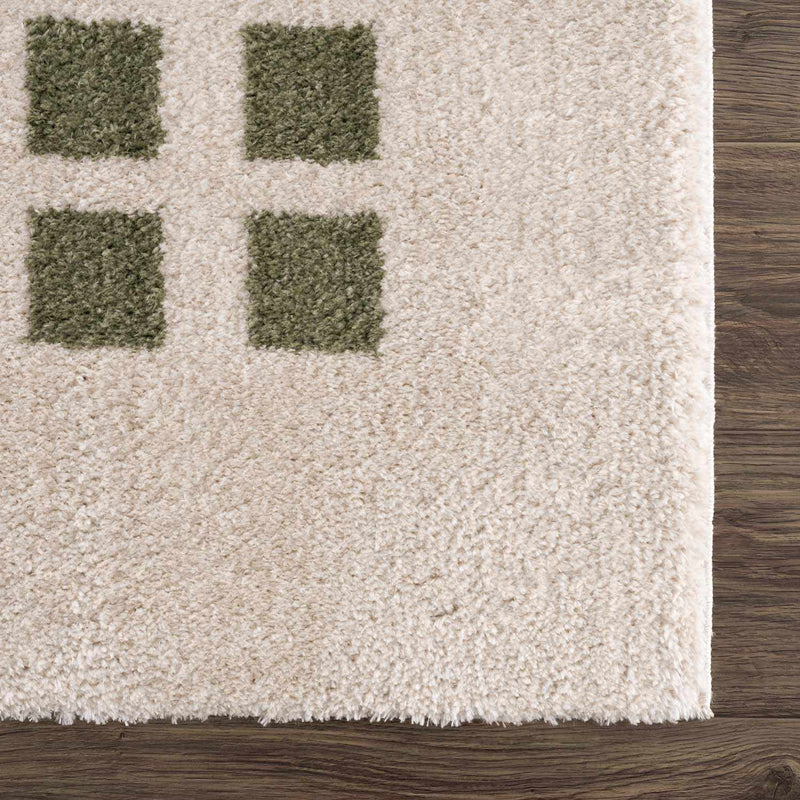 Baback Green Washable Area Rug by Boutique Rugs