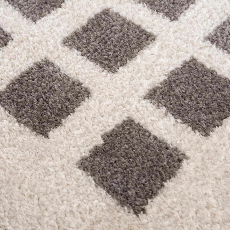 Baback Charcoal Washable Area Rug by Boutique Rugs