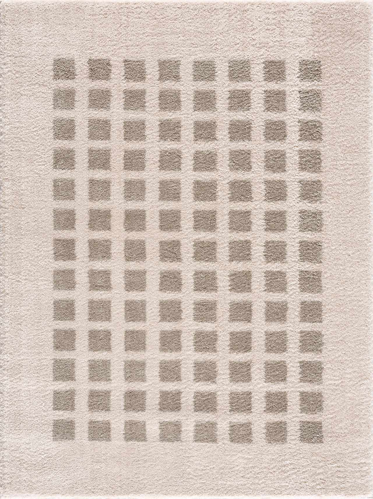 Baback Gray Washable Area Rug by Boutique Rugs