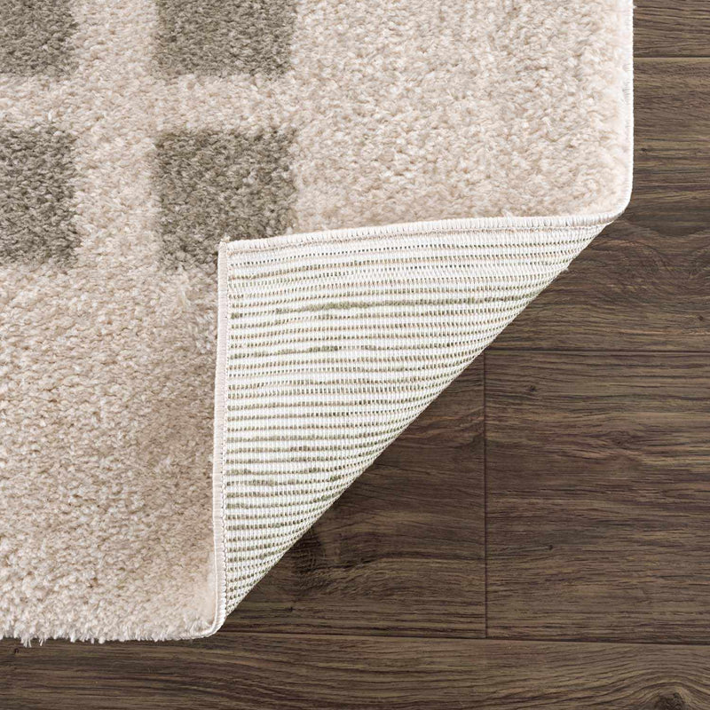 Baback Gray Washable Area Rug by Boutique Rugs