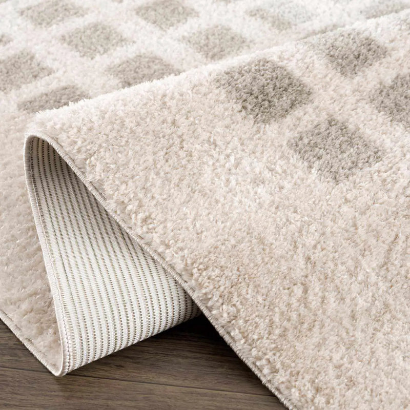 Baback Gray Washable Area Rug by Boutique Rugs