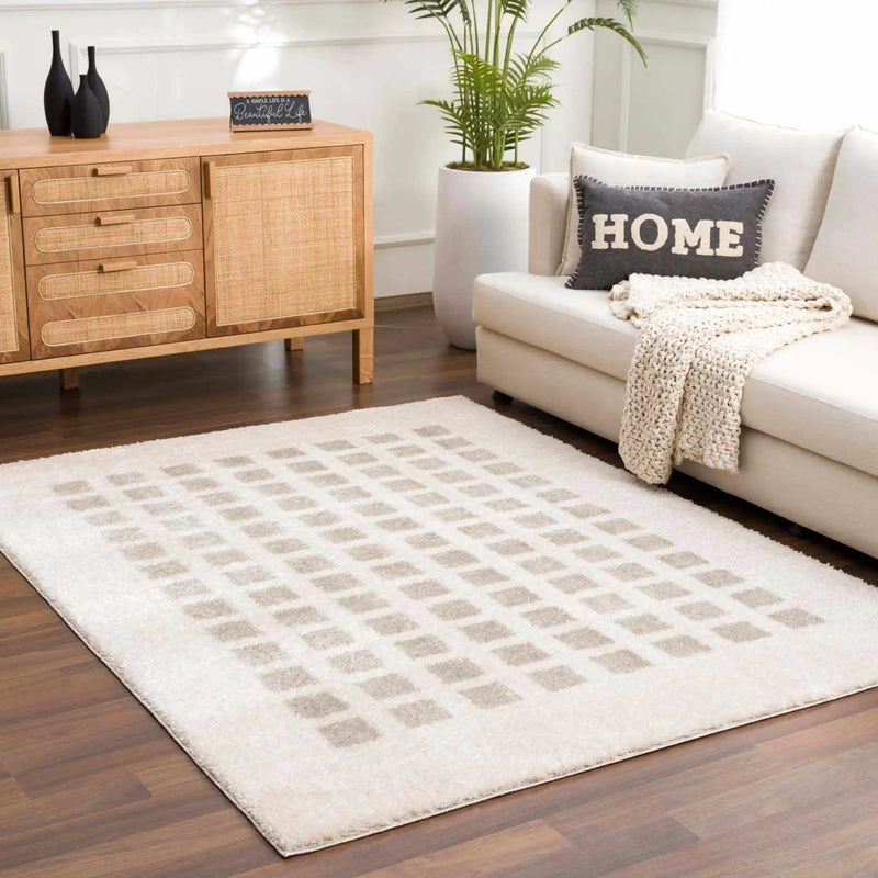 Baback Gray Washable Area Rug by Boutique Rugs
