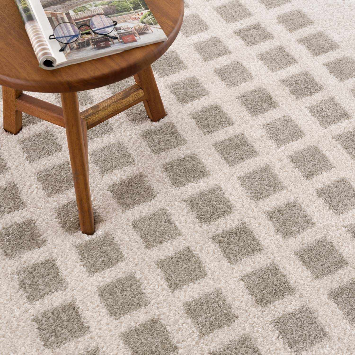Baback Gray Washable Area Rug by Boutique Rugs