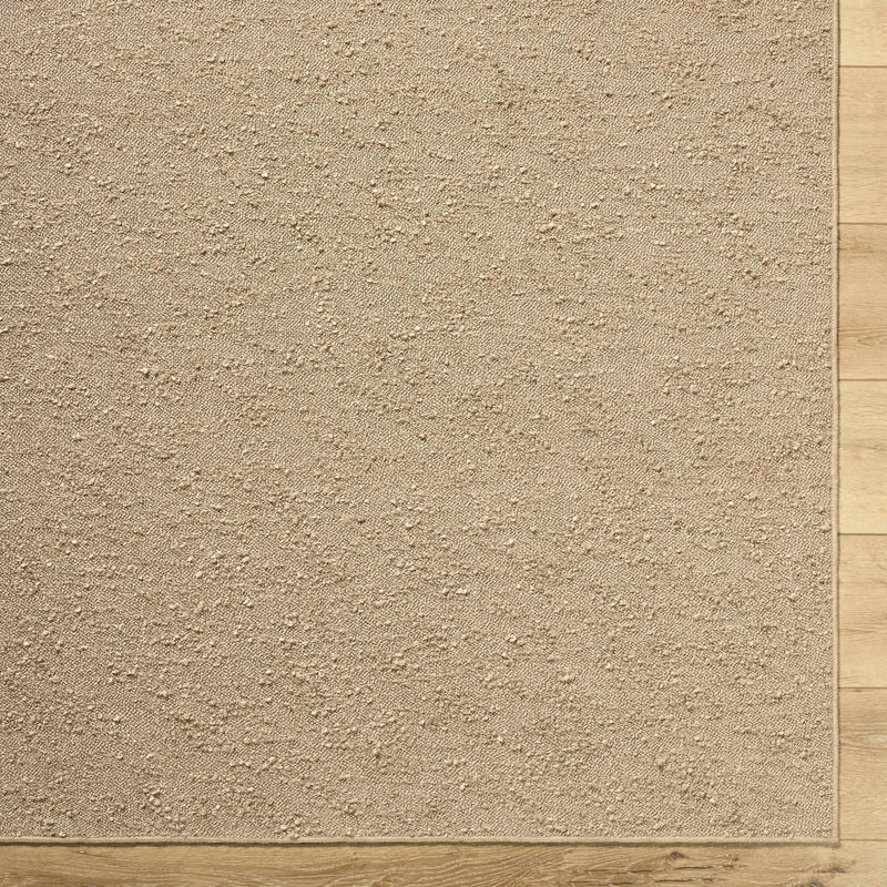Breena Solid Taupe Washable Area Rug by Boutique Rugs