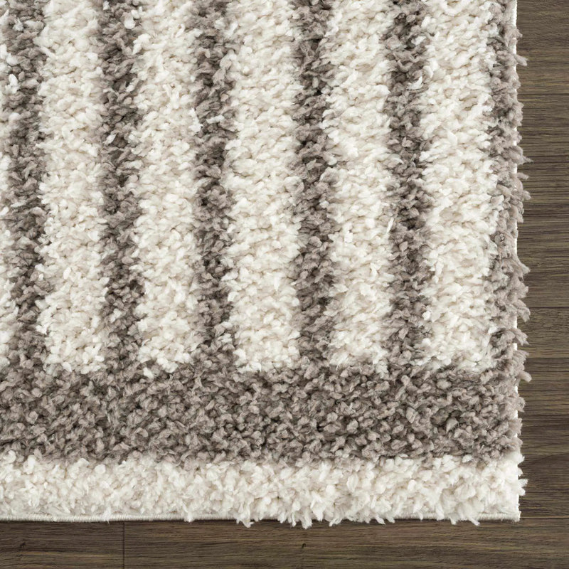 Jola Taupe Area Rug - Clearance by Boutique Rugs