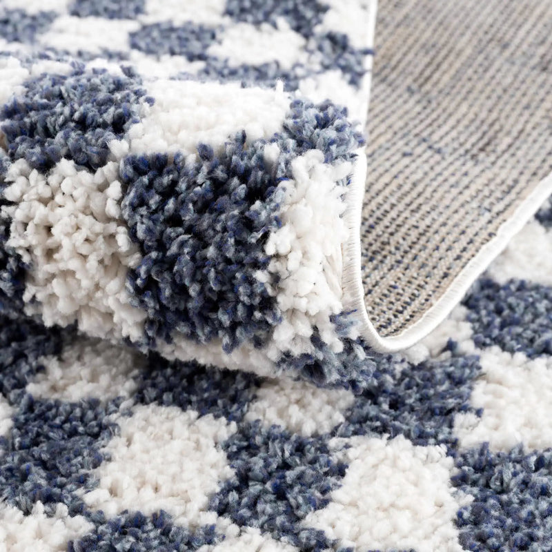Kieu Blue & White Checkered Area Rug by Boutique Rugs