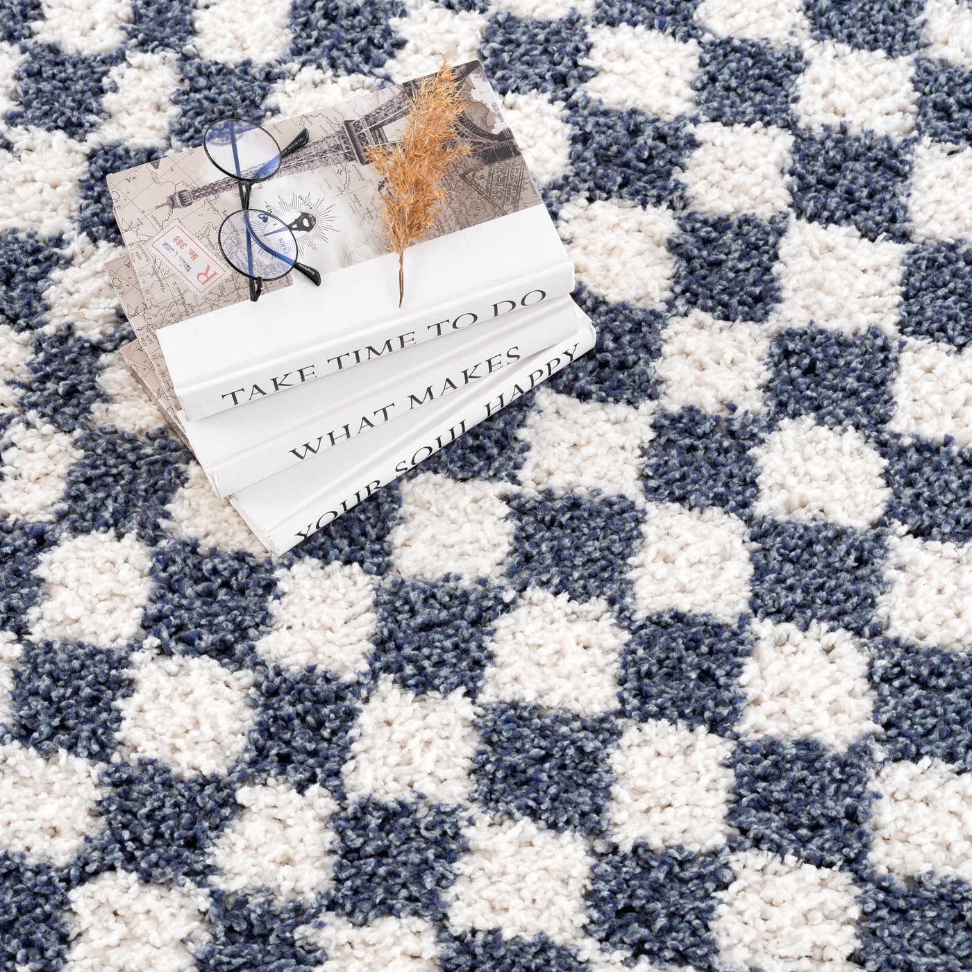 Kieu Blue & White Checkered Area Rug by Boutique Rugs