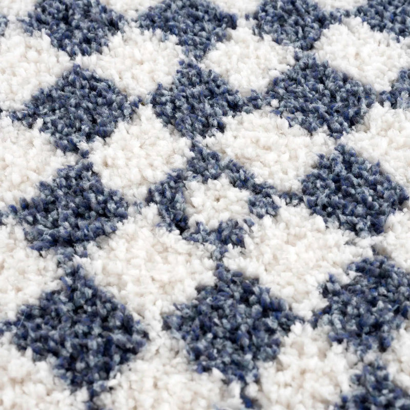 Kieu Blue & White Checkered Area Rug by Boutique Rugs