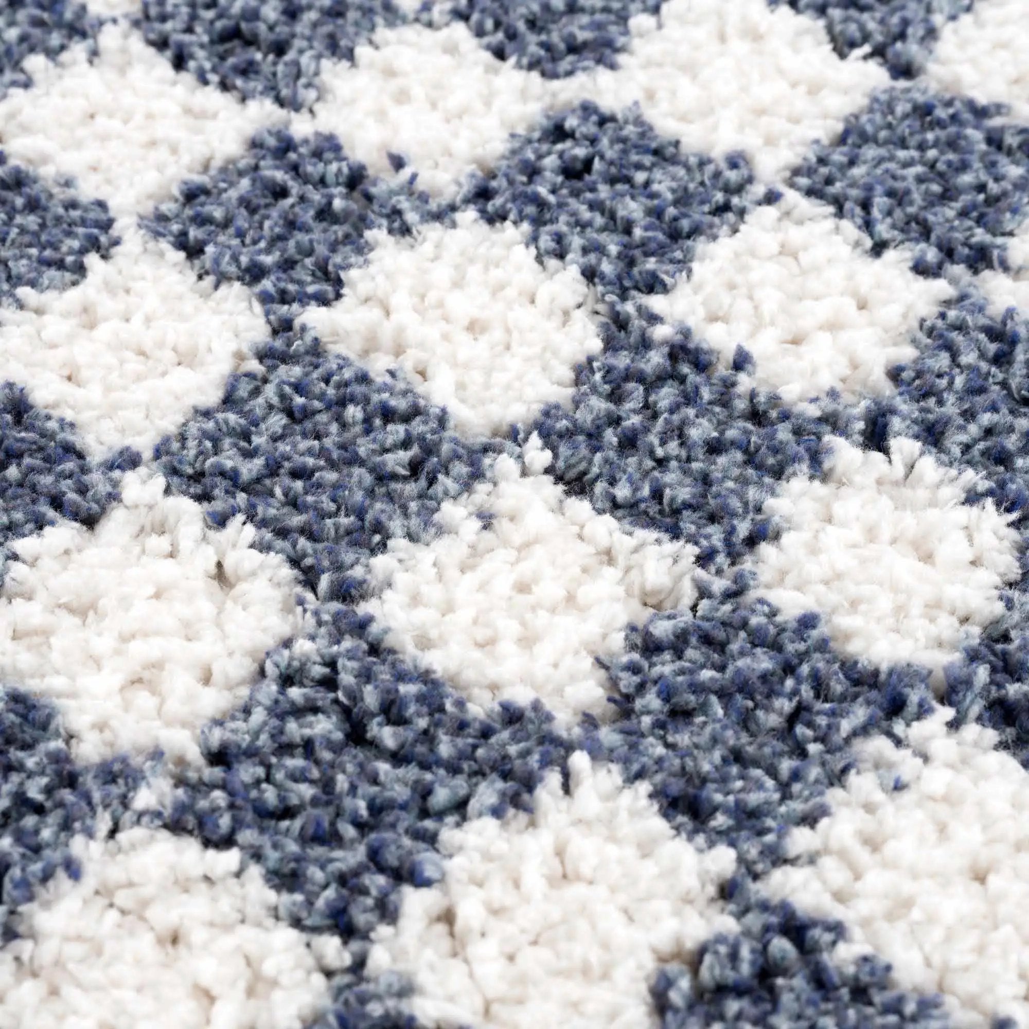 Kieu Blue & White Checkered Area Rug by Boutique Rugs
