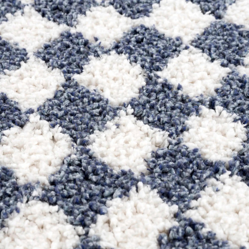 Kieu Blue & White Checkered Area Rug by Boutique Rugs