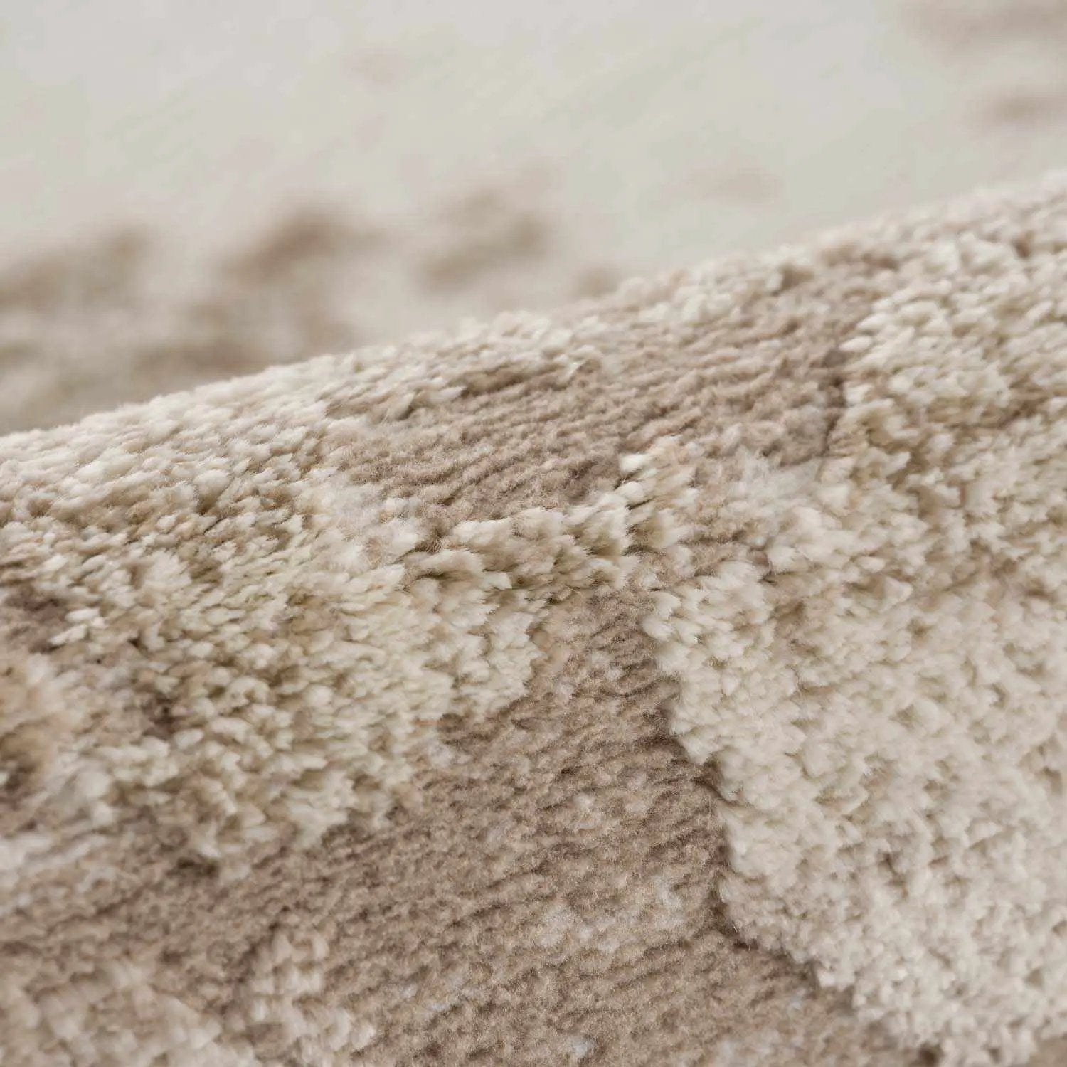Briley Beige Area Rug by Boutique Rugs